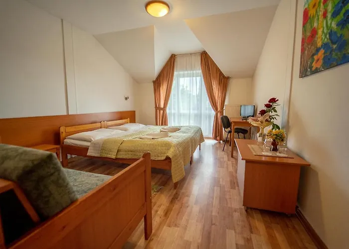 Hotel Park Cingov Smizany