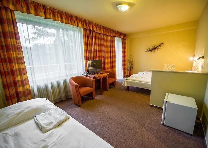 Park Cingov מלון