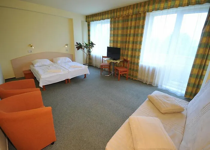 Park Cingov מלון